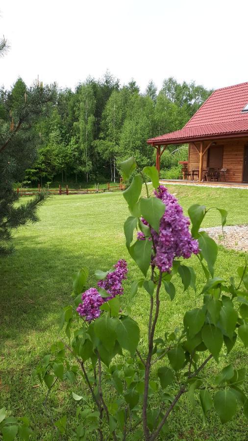 Dom Nad Dolina Sanu Villa Ruszelczyce Exterior photo