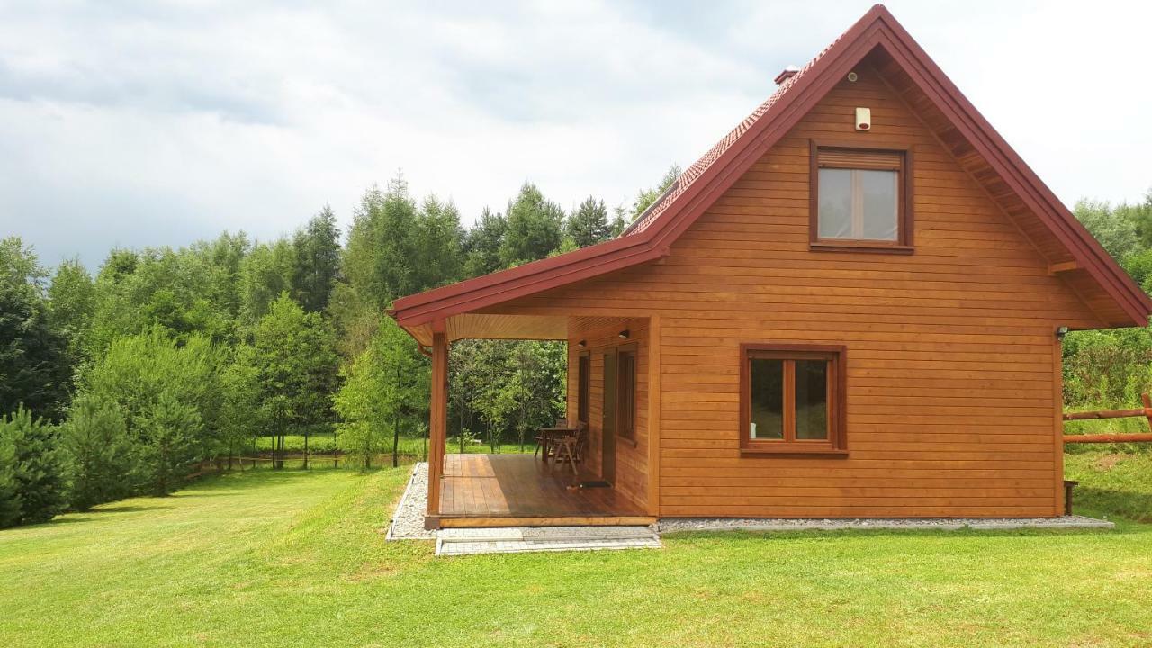 Dom Nad Dolina Sanu Villa Ruszelczyce Exterior photo